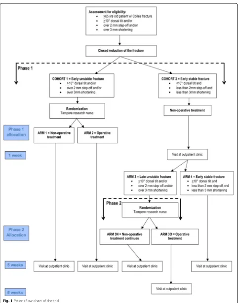 Fig. 1 Patient flow chart of the trial