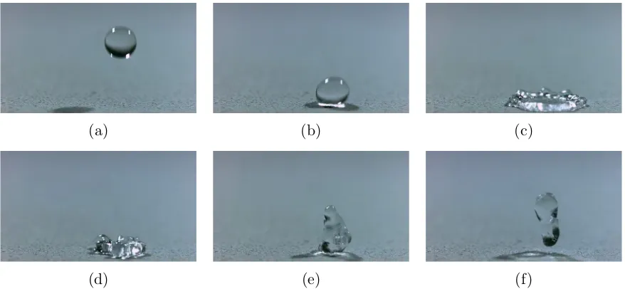 Figure 1.1: Lotus eﬀect of water droplet falling onto a man-made, highly hy-drophobic surface observed by Dr