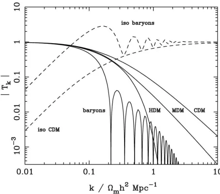 Figure 1.4: An example of a transfer function. The baryons show signs of oscillations (thisis due to the pressure term present in the equation governing the growth of perturbations)is because these particles come out as relativistic at decoupling)