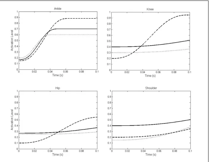 Figure 5.  Muscle activation histories during the optimised landing strategies for the forward rotating vault  (Solid line = matching simulation, dashed line = S 1 , dotted line = S 2 )