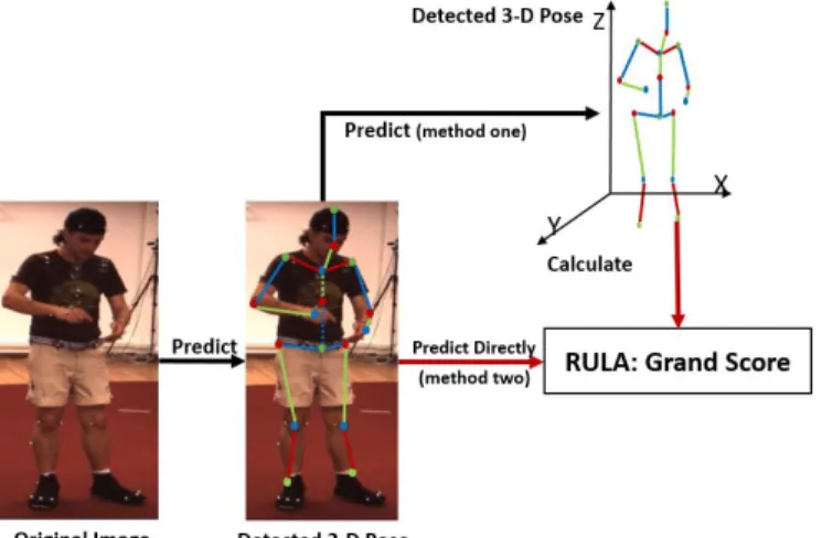 Figure 1. Two  methods for estimating  RULA  from 2-D  pose.  Our  work  covers  the  red  arrows