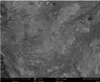 Fig. 7b. SEM micrograph of the sample with ESP partial cement replacement (magnification of 1500).