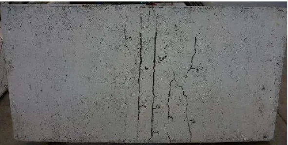 Figure 6.2.  Crack pattern formation at the tension face of panel FCC3 
