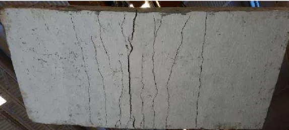 Figure 6.11.  Crack pattern formation at the tension face of panel FUC3 