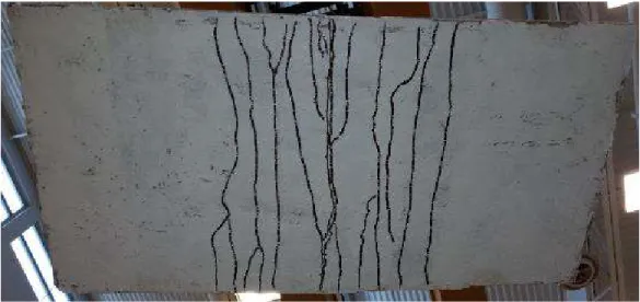 Figure 6.22.  Crack pattern formation at the tension face of panel FUW2 