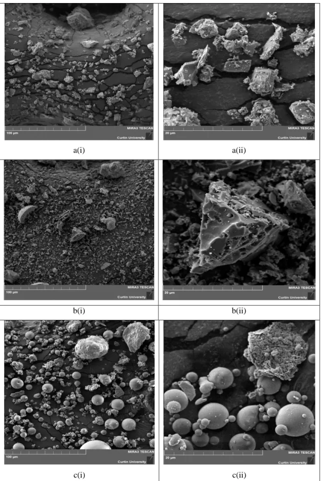 Figure 5: SEM imaging for; (a) OPC (b) POFA and (c) FA at (i) at 100x µm and (ii) 20x µm 