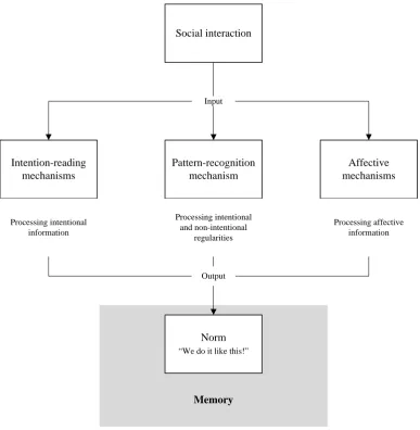 Figure 5.1. Model of norm acquisition. Information stemming from social interactions 