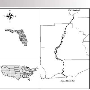 Figure . Sites surveyed for A. neislerii, Apala-chicola River, Florida, November, 200.