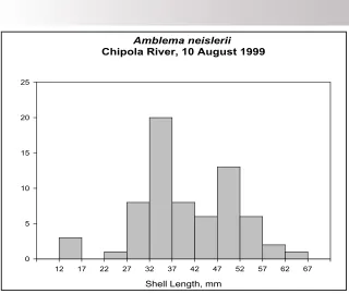 Figure 5. Length-frequency histogram for A. neislerii, mouth of Chipola River, 10 August 1999.