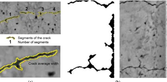 Figure 9. Measurement and detection of cracks: (a) measurement of crack opening width as a mean  value; and (b) “boundary effect” in segment detection