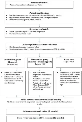Figure 1 Randomised controlled trial and pilot study procedure flow chart. GP, general practitioner; NHS, National Health Service; QoL, quality of life.