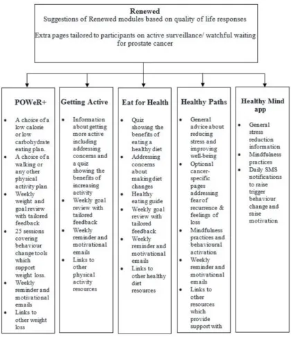 Figure 2 Renewed intervention outline.