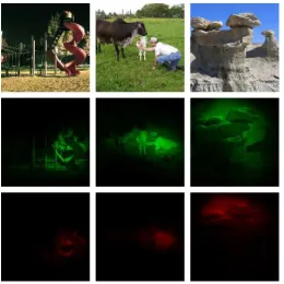 Figure 7: Set of three images from VISCHEMA2 dataset and their predicted true VMS andfalse VMS on second and third lines.
