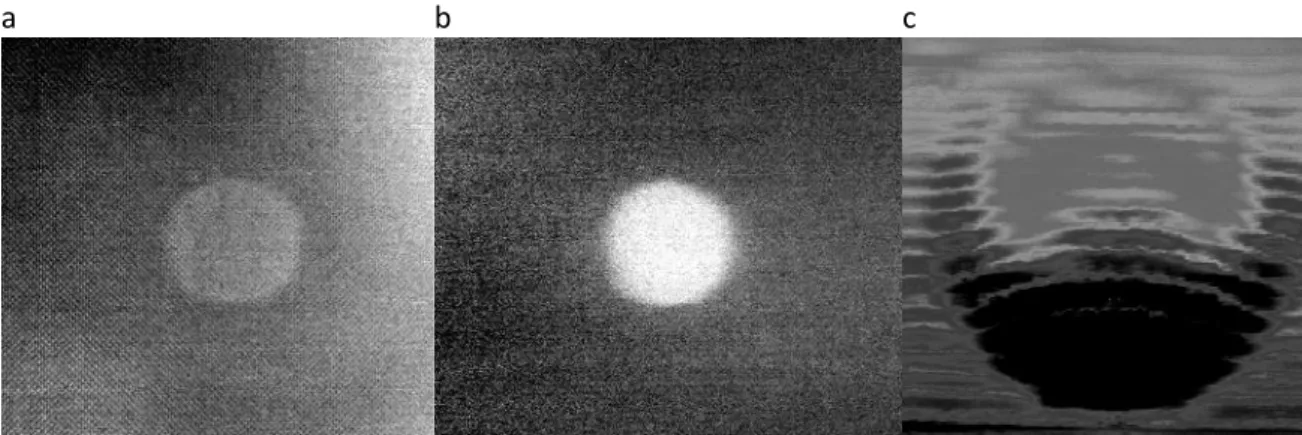 Figure 26  Experimental data for CFRP with PTFE insert at 0.375 mm deep: a) thermal  PT image, b) PPT phase image and c) UT image