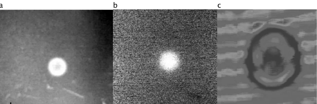 Figure 21  Experimental data for 10 mm diameter, 0.3 mm deep defect a) thermal PT  image, b) PPT phase image and c) UT image (spatial scale different to thermal data)