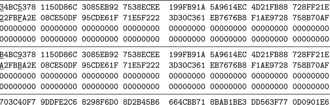 Table 4. Collision example for Dynamic SHA-256: two messages and their commondigest.