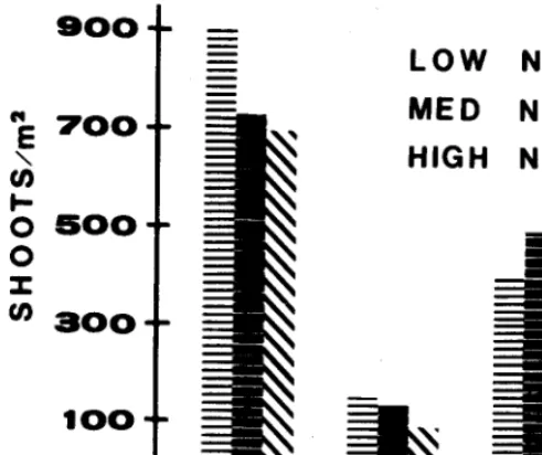 Table 2. Soil nitrate nitrogen (kg/ha) present in November of 1978 and 1979, under low (150 kg/ha), medium (250 kg/ha), and high (350 kg/ha) 