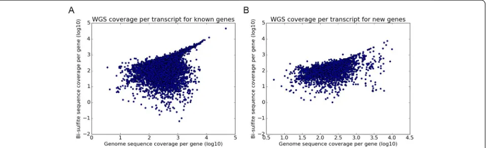 Fig. 3 Scatterplot of per base coverage of unconverted whole genome sequence data versus bisulfite converted whole genome data onto theRefseq transcripts (“known genes” - a) and the newly identified genes in this study (b)