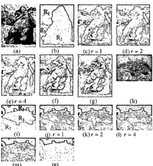 Fig. 4:  (a) Gorilla  image,  (b) Ref.  image for gorilla, (h) Fish  inlape,  (1)  Ref