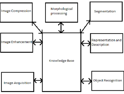 Figure 5: Stages of Image Processing[2] 