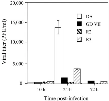 FIG. 1. Viral production in bone marrow-derived macrophages.Primary cultures were infected with viruses DA, GDVII, R2, and R3.