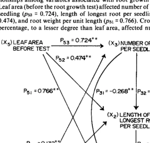 Fig. 1. Path coefficient analysis offactors associated with root growth in blue grama seedlings