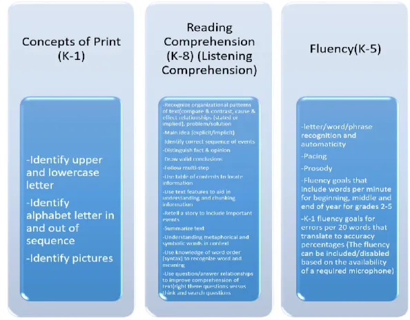 Figure 4. SuccessMaker Reading Instructional Strands 