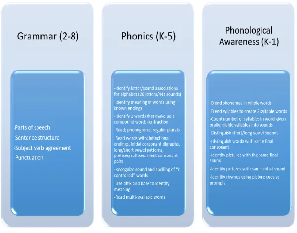 Figure 5. SuccessMaker Reading Instructional Strands 
