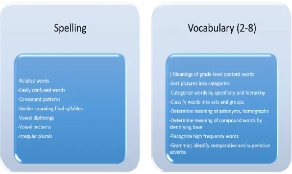 Figure 6. SuccessMaker Reading Instructional Strands 