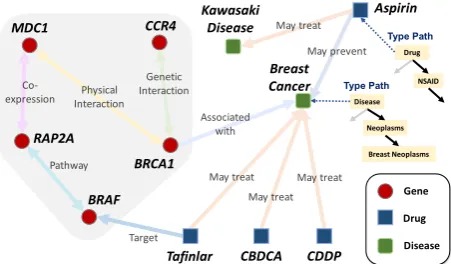 Figure 1: A snapshot of the structured network in Life-iNet.