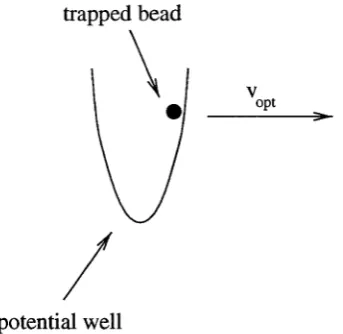 Figure 7.2: The potential well created by the laser of the optical trap as it holds the bead