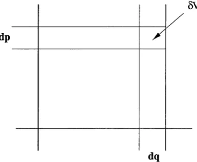 Figure 2.4: Illustration of a phase volume element, SV.