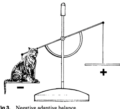 Fig 3.Negative
