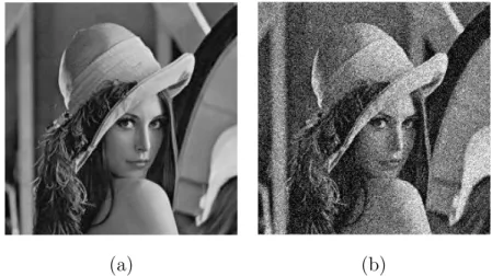 Figure 1.1: (a) Original Lena image. (b) Noisy Lena image