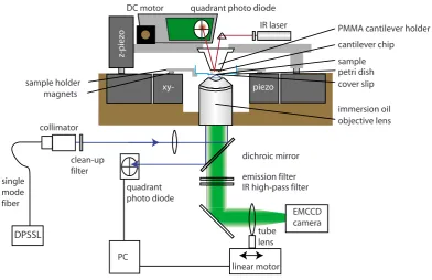 FIG. 1. �Color online� Schematic drawing of the combined AFM/TIRF mi-croscope. TIRF excitation is performed by a diode pulsed solid-state laser Combined TIRF/AFM setup: The sample (blue) is accessed from above with an atomic force micro-scope (AFM) (grey), featuring IR laser, cantilever, photodiode and z-piezo and from below with a TotalInternal Reﬂection Microscope (TIRF) (black) featuring an excitation laser, ﬁlters, a motorized tube