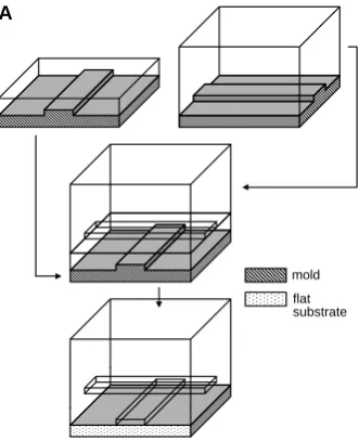 Fig. 2. Optical micrographs of dif-ferent valve and pump conﬁgura-