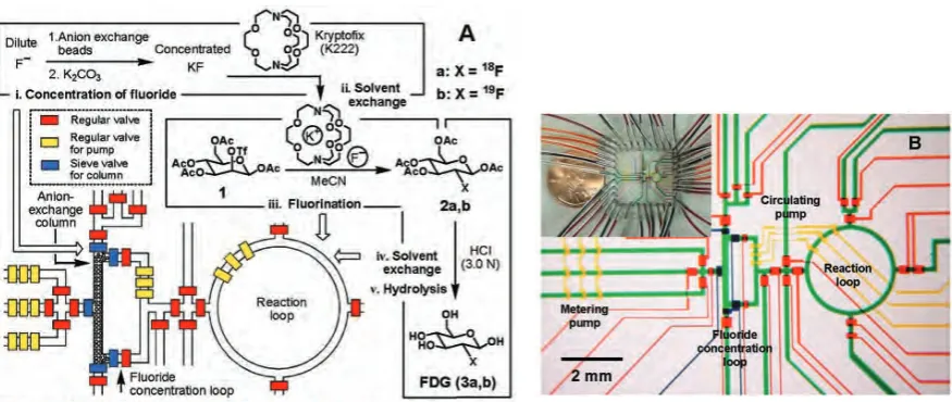 Fig. 1. (A) Schematic