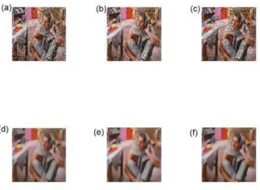 Fig. 4: (a) Input image with Salt and Pepper noise level 0.1 (b) Input image with Gaussian noise level 0.025 (c) Input image with Speckle noise level 0.1