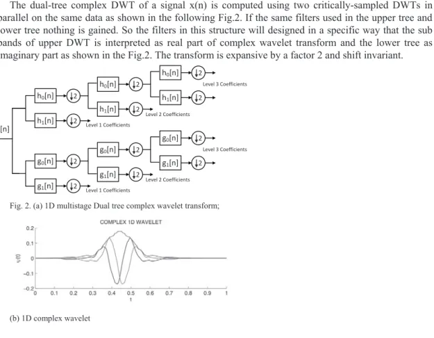 Fig. 2. (a) 1D multistage Dual tree complex wavelet transform;   