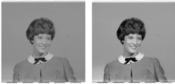 Figure  1.2a and  1.2b show an image before and after contrast enhancement. Notice 
