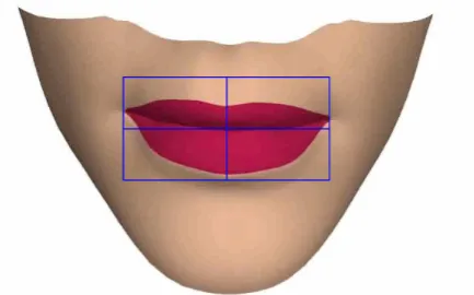 Figure 11. The mouth area selection box is aligned with the corners of the mouth. This selects the videoregion for analysis and the width of the box is used to normalise the collected data.