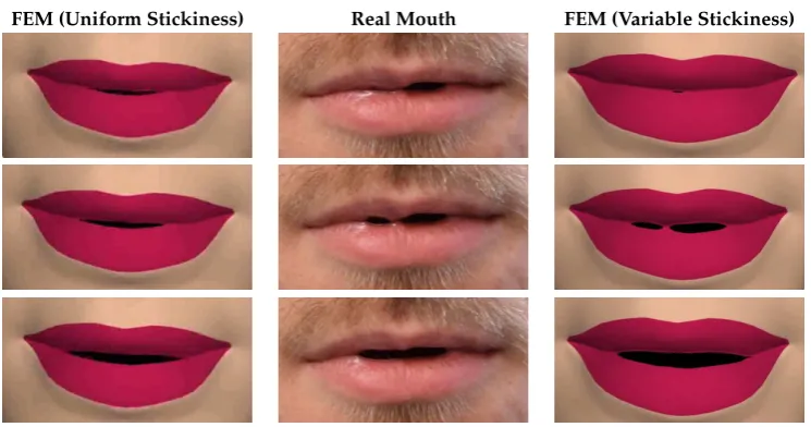 Figure 4. (Left) Real mouth; and (Right) texture mapped mouth with physically-based sticky lips.
