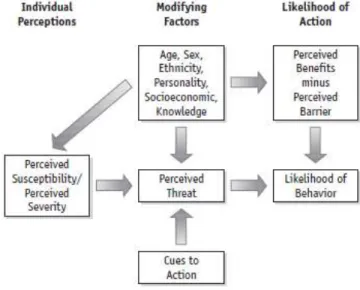 Figure  2.2  illustrates  the  most  common  conceptualization  of  the  HBM  and  how  behaviour  change is a function of the perceived threat and behavioural evaluation, where external cues to  action activate or moderate the perceived threat