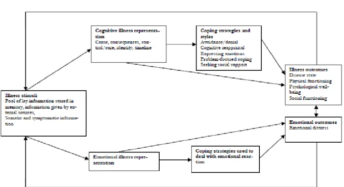 Figure  2.4  -  Schematic  representation  of  the  Common-Sense  Model  of  Illness  Representations  (adapted from Brandes and Mullan 2014, p.131; Hagger and Orbell 2003) 