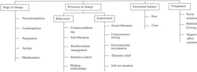 Figure 2.5 - Schematic representation of the TTM constructs (Sarbandi et al. 2013, p.2) 