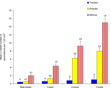 Figure 4.6  Comparison of the binding of ejaculated and caudal spermatozoa to isthmic and ampullary explants