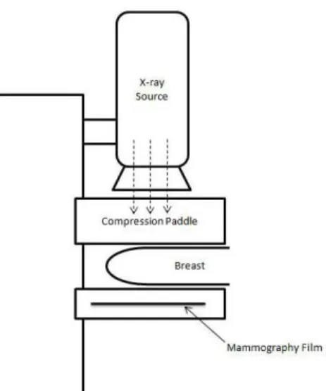Figure 2.3: Block diagram of a mammography unit 
