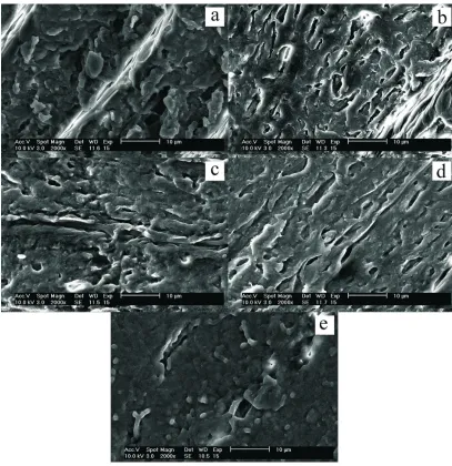 Fig. 3. Effect of irradiation dose on the structure of embryo bud: a – 0, b – 2, c – 5, d – 8, e – 10 kGy