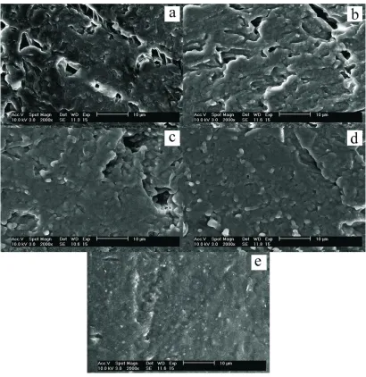 Fig. 4. Effect of irradiation dose on the structure of radicle: a – 0, b – 2, c – 5, d – 8, e – 10 kGy