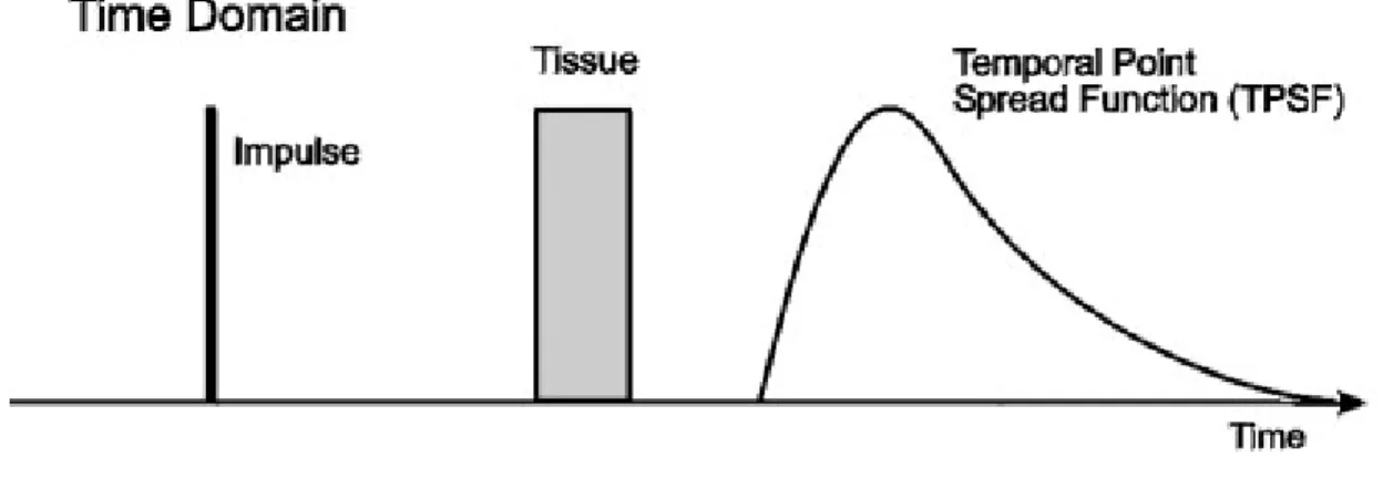 Figure 2.1 Time domain signal showing an input signal for tissue imaging. Image collection is defined as a  Temporal Point Spread Function as shown above